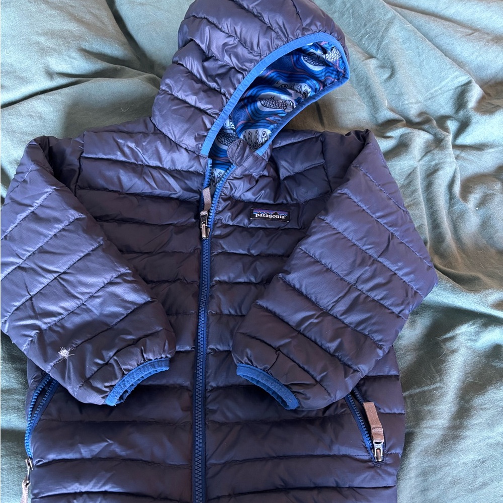 Patagonia Blue Puffer Jacket